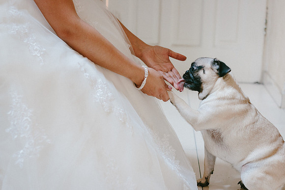 boda (34)