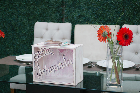 XV-PartyDay-Fernanda-278