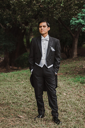 FormalDyE-85