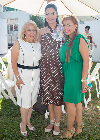 Baby Shower Paola II-75
