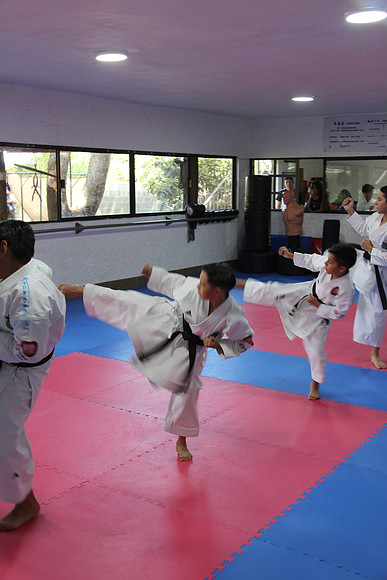 IMG_0134