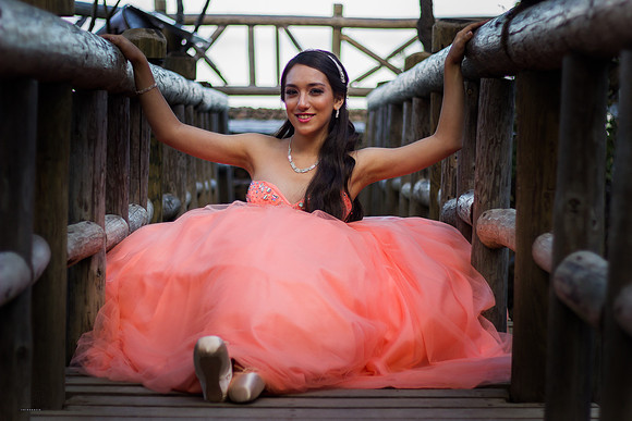 XV Fer Cruz Formal II-118-2