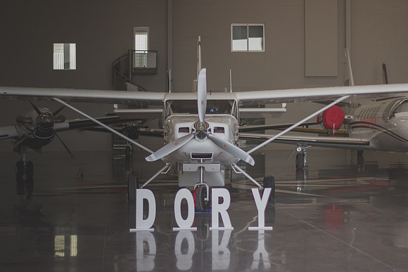 Esperando a Dory-2