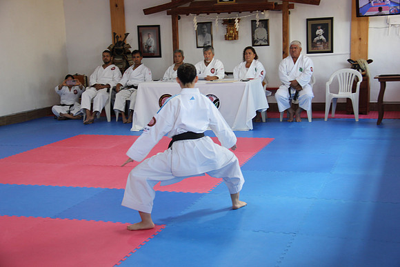 IMG_0382
